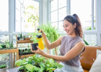 Bali rainy season plant care