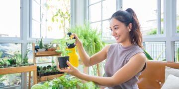 Bali rainy season plant care