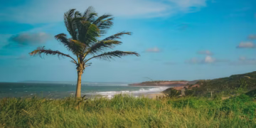 Bali Weather Update August 4 2025: Hazy Skies & Sunny Spots