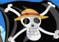 One Piece Flag Protest