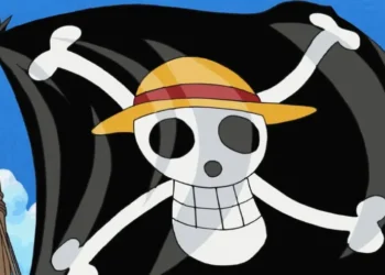 One Piece Flag Protest