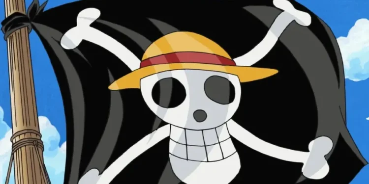 One Piece Flag Protest