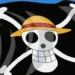 One Piece Flag Protest