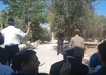 Al-Aqsa Mosque compound