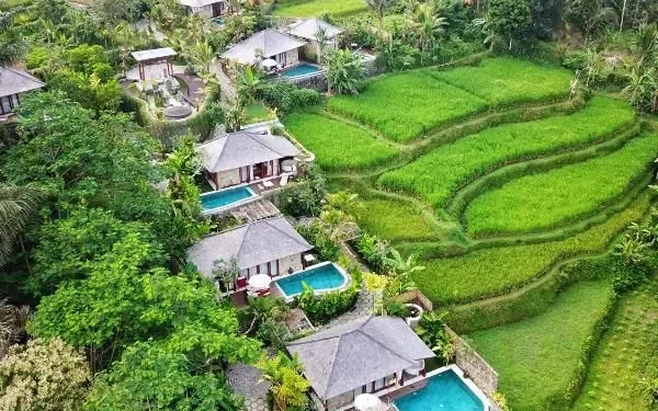 Bali Faces Immediate Agricultural Land Restoration, Emergency Meeting Called with Governor