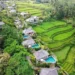 Bali Faces Immediate Agricultural Land Restoration, Emergency Meeting Called with Governor