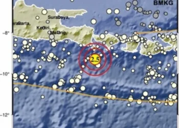 Bali Hit by Six Small Earthquakes in One Evening, BMKG Confirms
