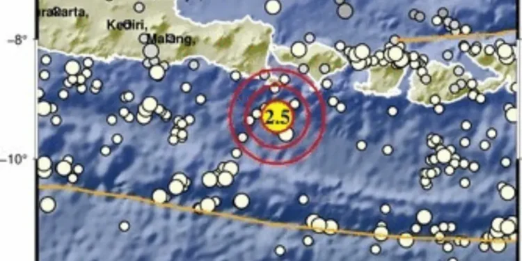 Bali Hit by Six Small Earthquakes in One Evening, BMKG Confirms