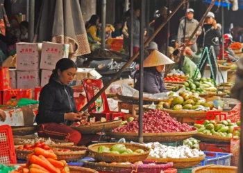 Bali Food Prices November 2025
