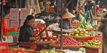 Bali Food Prices November 2025