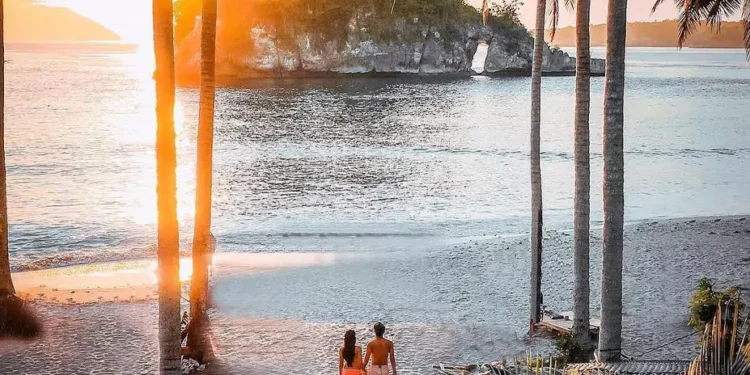 Nusa Penida Electricity Investment