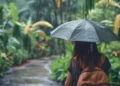 Bali Daily Weather - Rainy