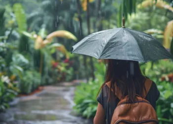 Bali Daily Weather - Rainy