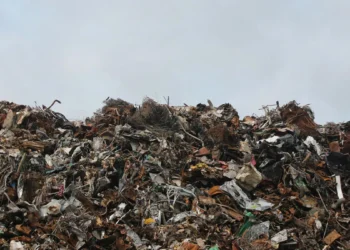 Bali Waste Crisis Suwung