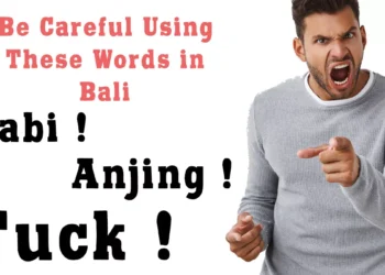 Bali's New Social Code: How Indonesia's Updated Laws on 'Insults' Could Affect Your Life on the Island