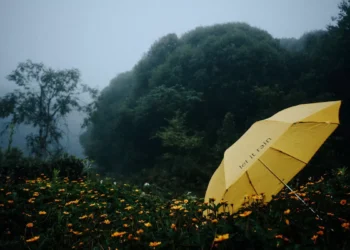 Bali weather today - Hey Bali Daily Weather Report