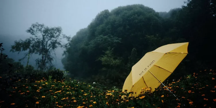 Bali weather today - Hey Bali Daily Weather Report