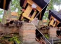 Bad Weather in Bali: Ancient Temple in Badung Damaged by Storm-Felled Tree