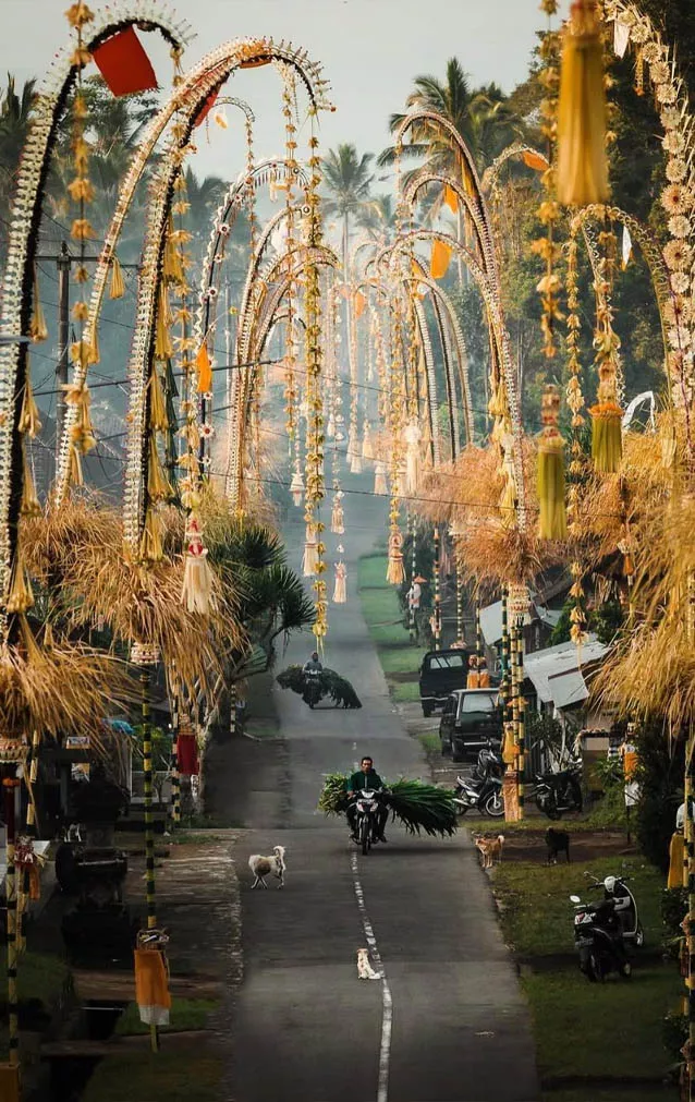 A village in Bali with penjor decorations along the road depicts Bali as calm, honest, innocent and time passes slowly.