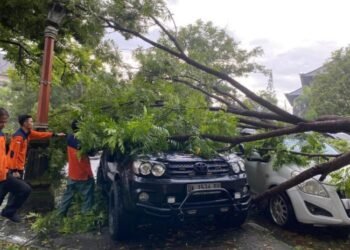 Extreme Weather Batters Bali 18 December 2025 Ubud Road Collapses, Trees Topple, and Port Closes