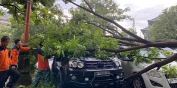 Extreme Weather Batters Bali 18 December 2025 Ubud Road Collapses, Trees Topple, and Port Closes