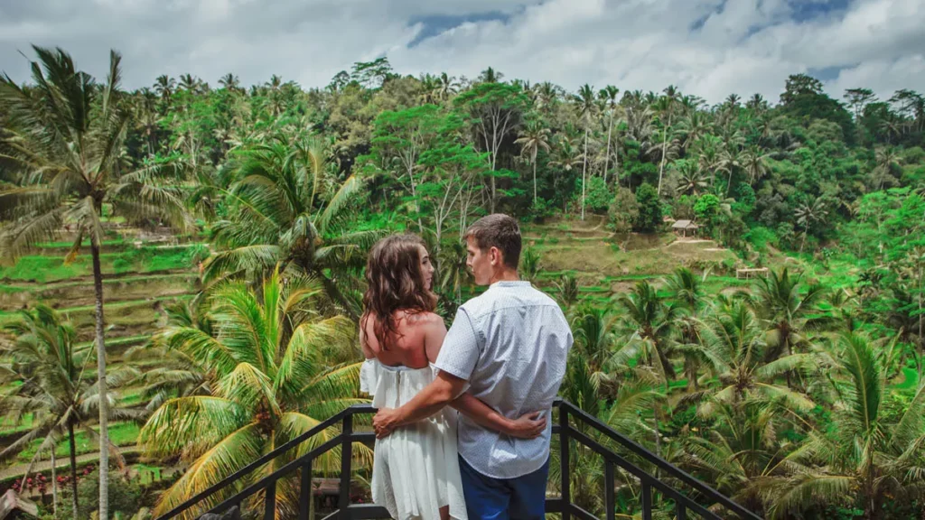 The Bali Paradox: 7 Million Arrivals, 7 Million Points of Pressure 39 Jatiluwih