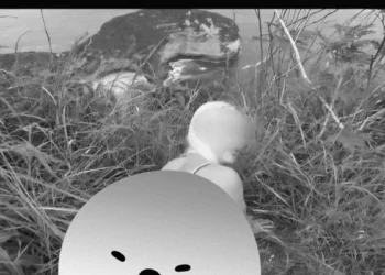 After Bonnie Blue, “Kelingking Blue” Emerges as Bali Probes Foreign Tourist Video