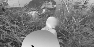 After Bonnie Blue, “Kelingking Blue” Emerges as Bali Probes Foreign Tourist Video