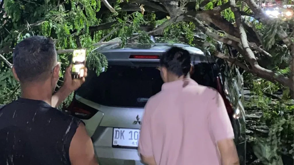 Bali Airport Traffic Comes to a Standstill After Tree Collapse Hits Vehicles