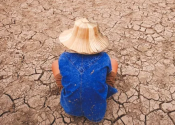 Poor Population in Bali 2025