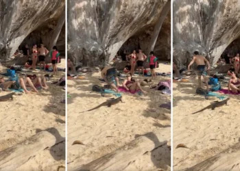 When Bali’s Wildlife Joins the Beach Day, Chivalry Takes a Sudden Break