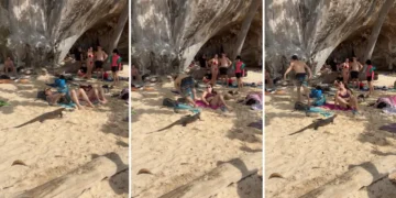 When Bali’s Wildlife Joins the Beach Day, Chivalry Takes a Sudden Break