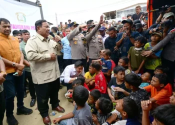 From Apology to Unanswered Questions: Decoding the Disaster Narrative in the Shadow of the Oil Palm 44 From Apology to Unanswered Questions: Decoding the Disaster Narrative in the Shadow of the Oil Palm