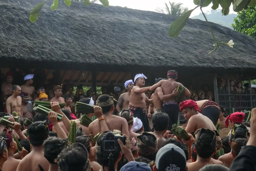 Authentic Bali 2026: 5 Cultural Traditions Beyond the Tourist Trail 38 Pandan War or Mekare-kare