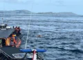 Valencia Coach Confirmed Deceased as NTT Police Identify Body Found in Komodo Waters 52 Valencia Coach Confirmed Deceased as NTT Police Identify Body Found in Komodo Waters