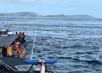 Valencia Coach Confirmed Deceased as NTT Police Identify Body Found in Komodo Waters