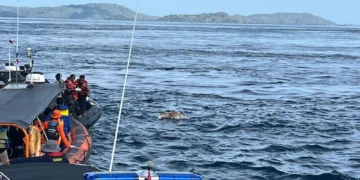 Valencia Coach Confirmed Deceased as NTT Police Identify Body Found in Komodo Waters