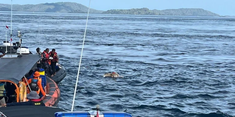 Valencia Coach Confirmed Deceased as NTT Police Identify Body Found in Komodo Waters 37 Valencia Coach Confirmed Deceased as NTT Police Identify Body Found in Komodo Waters