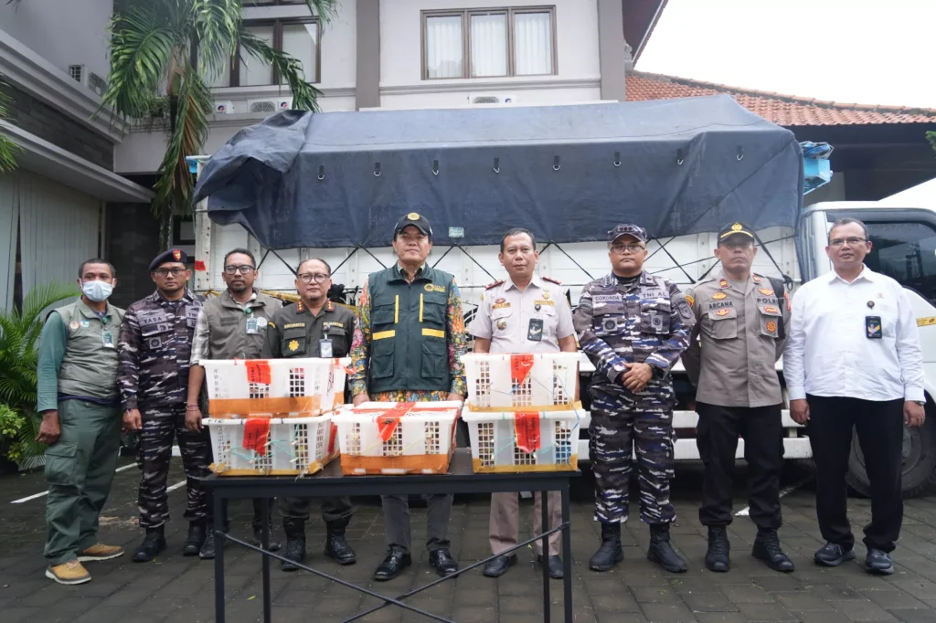 Major Biosecurity Operation in Bali Seizes Thousands of Illegally Trafficked Birds 38 Photo of the Task Force of the Bali Animal, Fish and Plant Quarantine Center (Bali Quarantine) Service Unit (Satpel) Padangbai together with the Indonesian Navy, the Bali Natural Resources Conservation Center (BKSDA), the Padangbai KP3 Police and Flight Protection Bird (January 21, 2026) (Hey Bali)