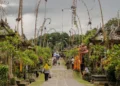 Visiting Bali's Penglipuran Village Without a Scooter? There's Now a Bus That Costs Less Than $1 50 Penglipuran Village
