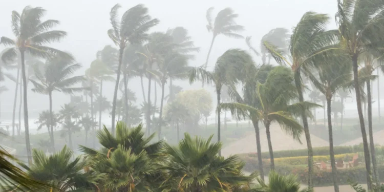 Weather Alert for January 23, 2026: Extreme Rain and Winds Target Java, Bali, and Eastern Islands 37 Photo of strong winds and heavy rain on one of Bali's coastal beaches