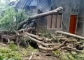 Photo: The house of a resident named Rita Senak in Sarotari Tengah Village, Larantuka District, East Flores, was damaged by a fallen tree caused by strong winds on Tuesday night (January 13, 2026).
