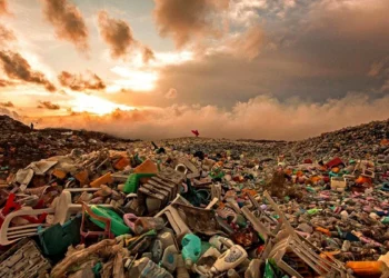 Photo of Final Waste Disposal Site