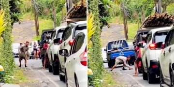 Screenshot of a foreigner, or tourist, inspired to close a pothole in Ubud for the safety of road users. (Hey Bali)