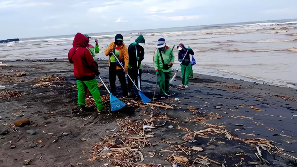 Cemagi Beach Confronts Daily Deluge of Driftwood and Debris 2 cemangi beach 69688f518d563