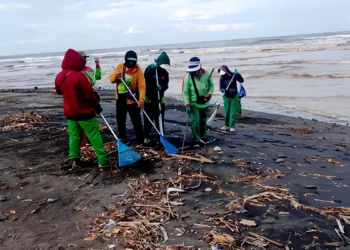 Cemagi Beach Confronts Daily Deluge of Driftwood and Debris