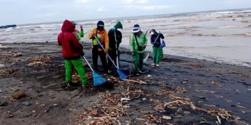 Cemagi Beach Confronts Daily Deluge of Driftwood and Debris