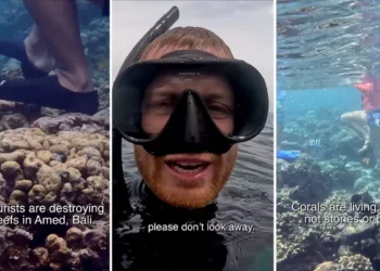 Viral Footage From Amed Reveals How Tourists Are Quietly Damaging Bali’s Coral Reefs