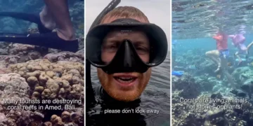 Viral Footage From Amed Reveals How Tourists Are Quietly Damaging Bali’s Coral Reefs