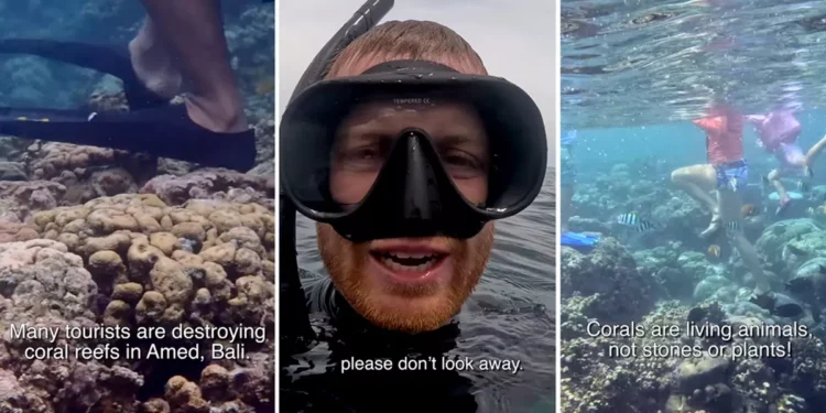 Viral Footage From Amed Reveals How Tourists Are Quietly Damaging Bali’s Coral Reefs